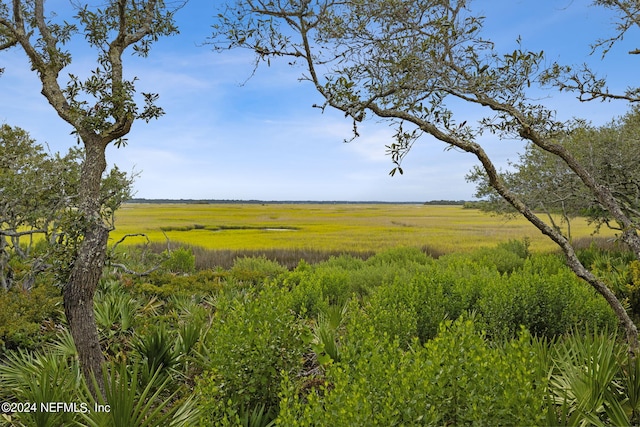 view of local wilderness with a rural view