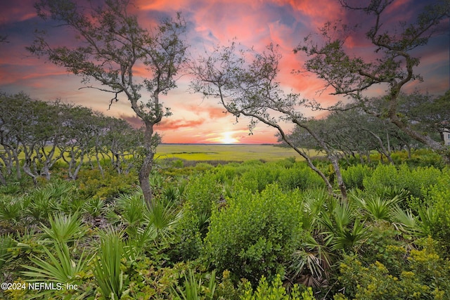 nature at dusk with a rural view