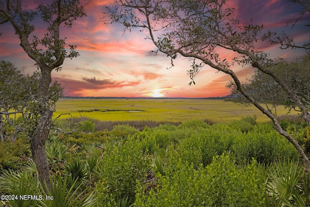 nature at dusk with a rural view