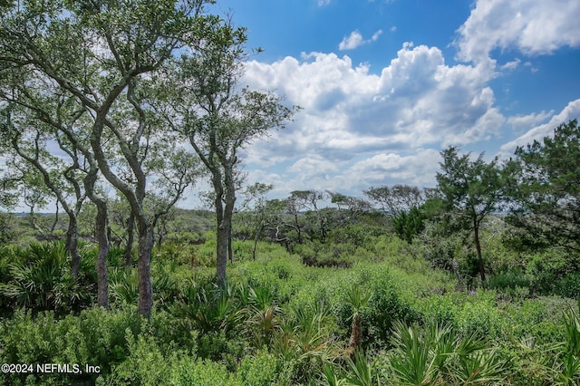 view of nature