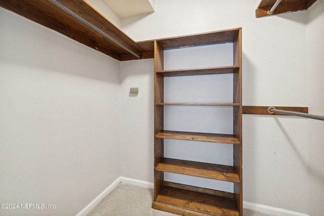 spacious closet with carpet flooring