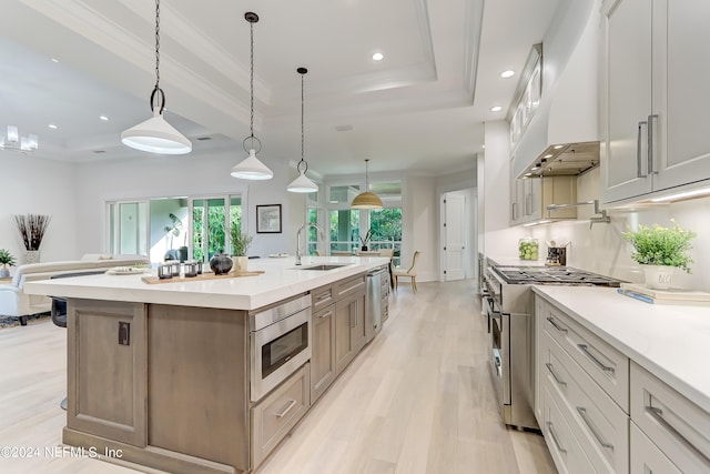 kitchen with stainless steel appliances, a center island with sink, a tray ceiling, and light hardwood / wood-style floors