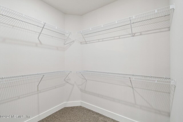 walk in closet with carpet