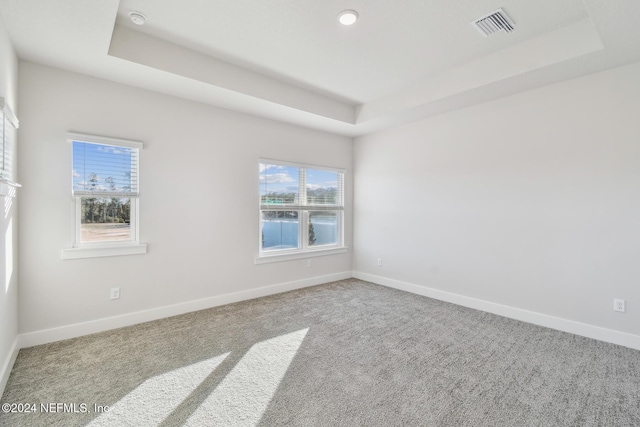 carpeted spare room with plenty of natural light and a raised ceiling