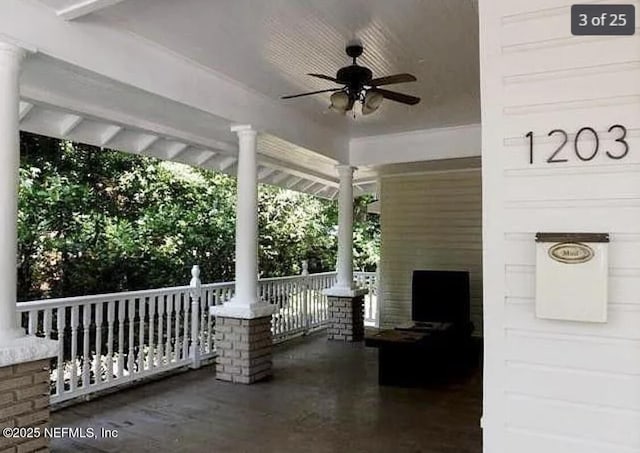 1203 Hubbard St, Jacksonville, FL 32206 - photo 3
