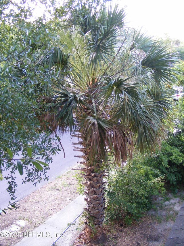 1203 Hubbard St, Jacksonville, FL 32206 - photo 11