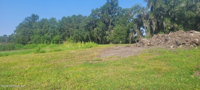 1393 Rosehill Ave, Green Cove Springs FL, 32043 land for sale