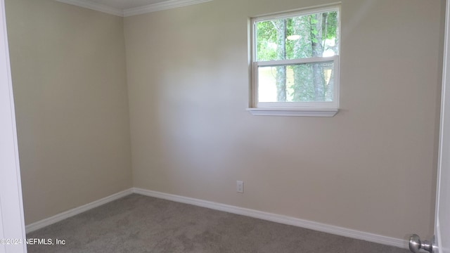 carpeted spare room with crown molding