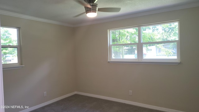 carpeted spare room featuring ceiling fan and ornamental molding