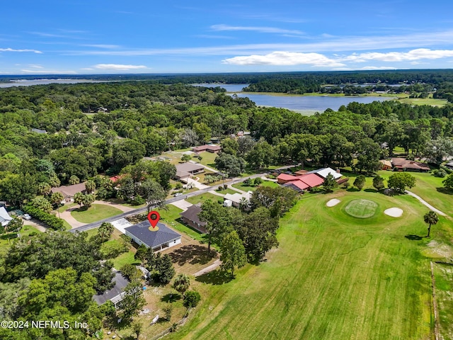 bird's eye view featuring a water view and a view of trees