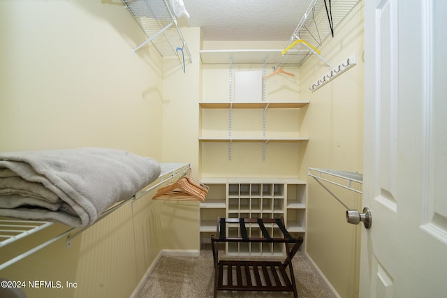 walk in closet with carpet