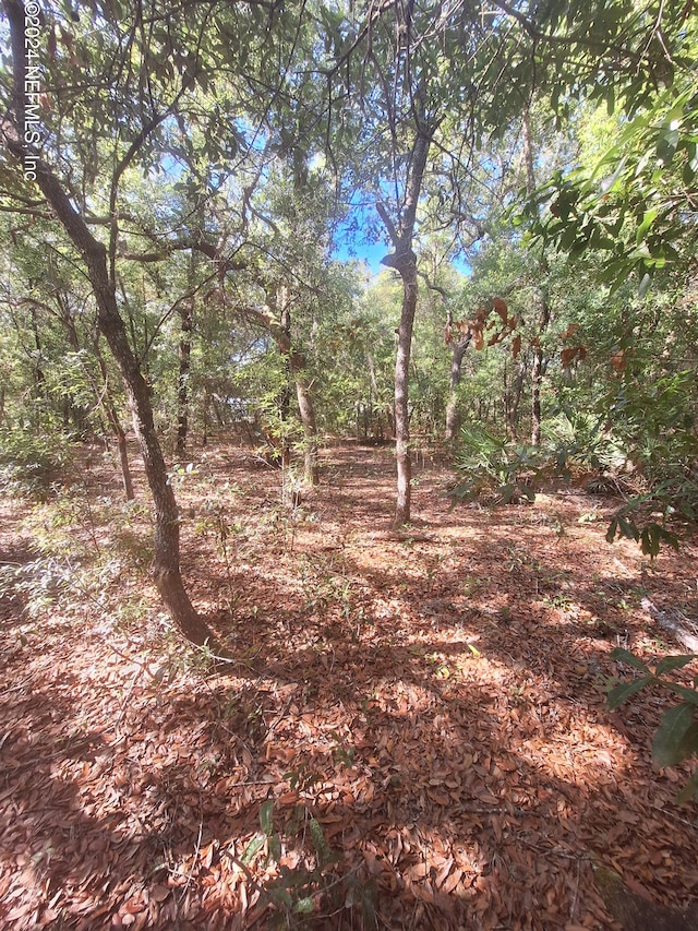 LOT23 Rintz St, Interlachen FL, 32148 land for sale