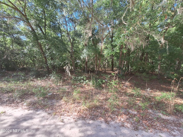 Listing photo 2 for LOT23 Rintz St, Interlachen FL 32148