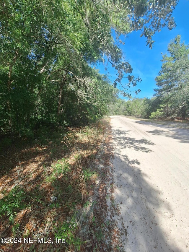 Listing photo 3 for LOT23 Rintz St, Interlachen FL 32148