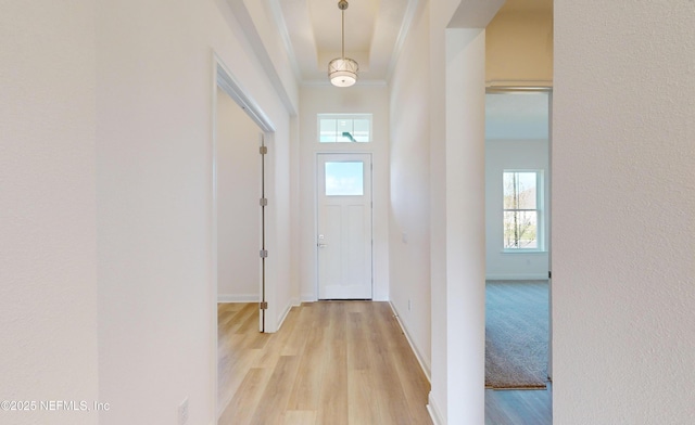 interior space with light wood-type flooring and crown molding