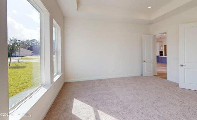 empty room featuring light carpet and a tray ceiling