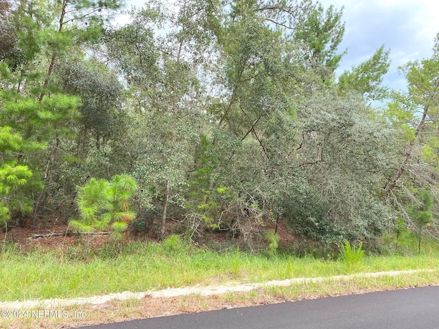 Listing photo 2 for 118 Spanish Trl, Georgetown FL 32139