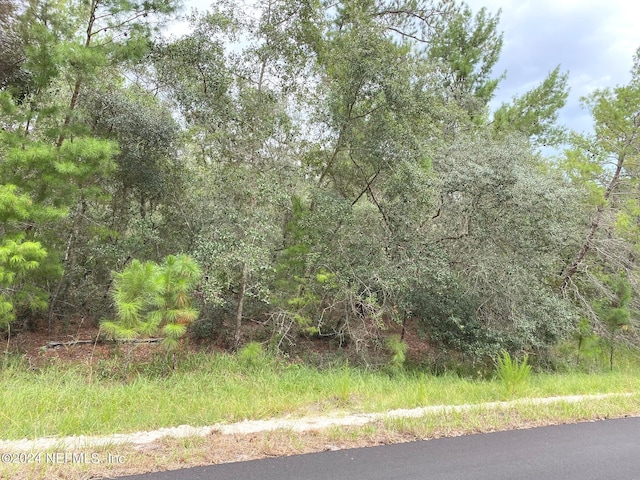 118 Spanish Trl, Georgetown, FL 32139 - photo 2