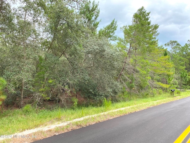 Listing photo 3 for 118 Spanish Trl, Georgetown FL 32139