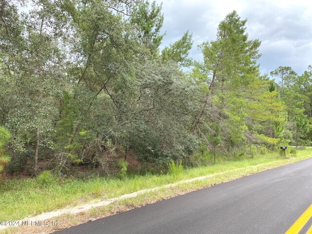 118 Spanish Trl, Georgetown, FL 32139 - photo 3