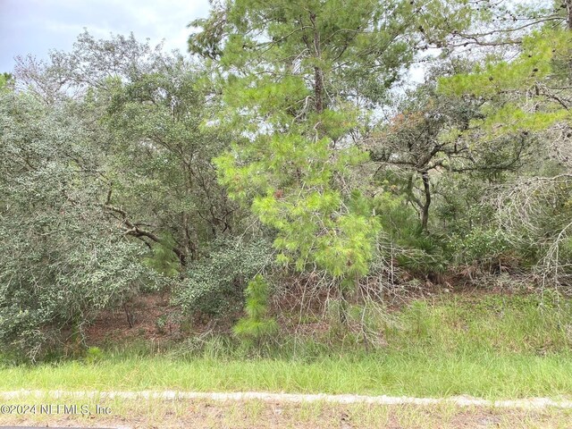 118 Spanish Trl, Georgetown, FL 32139 - photo 4