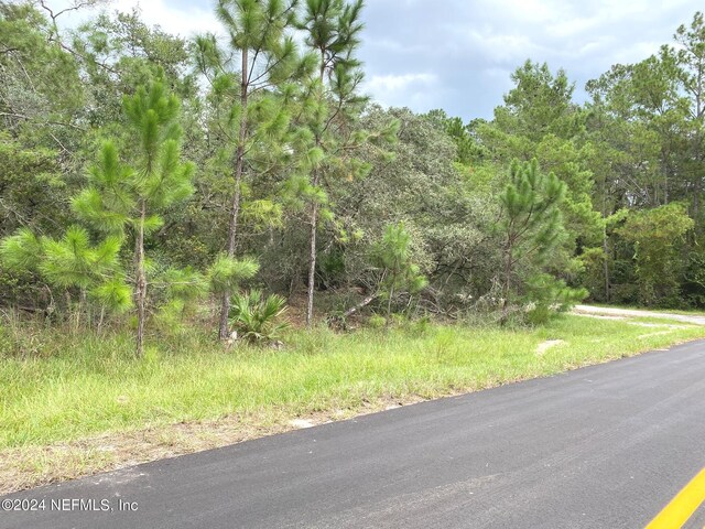 118 Spanish Trl, Georgetown, FL 32139 - photo 5