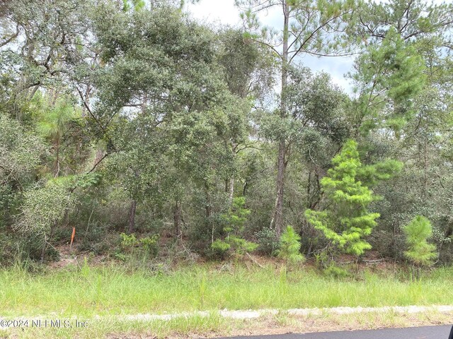 118 Spanish Trl, Georgetown, FL 32139 - photo 6