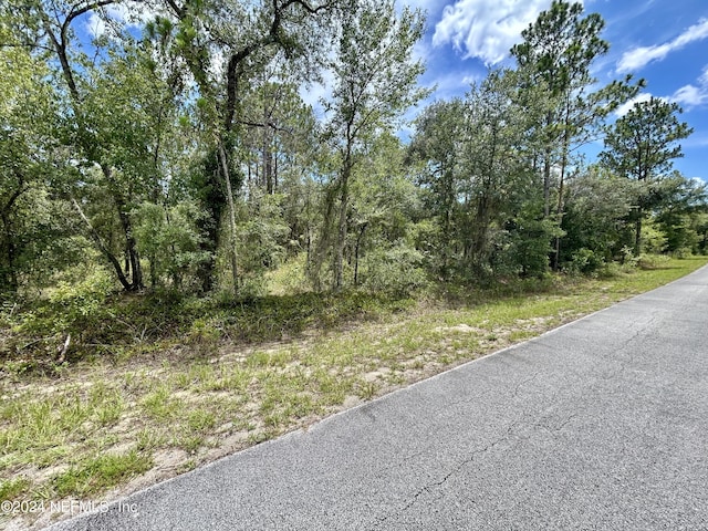 LOT17 NW Mallard Ave, Dunnellon FL, 34431 land for sale