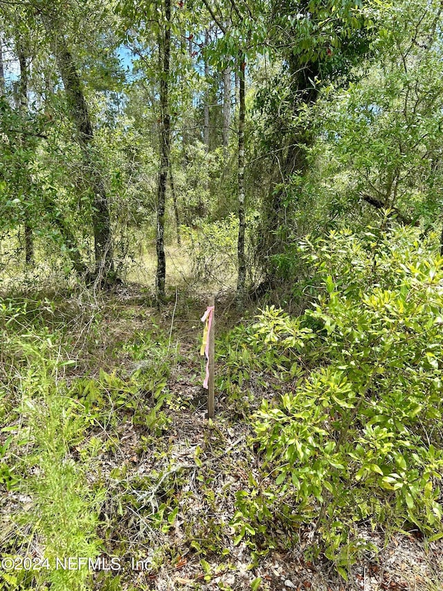 Listing photo 2 for LOT17 NW Mallard Ave, Dunnellon FL 34431