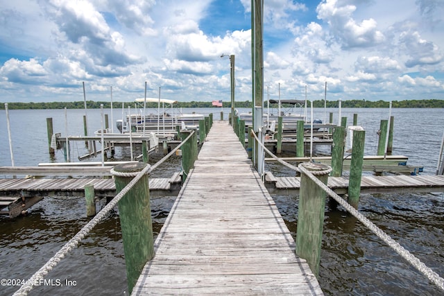 dock area featuring a water view