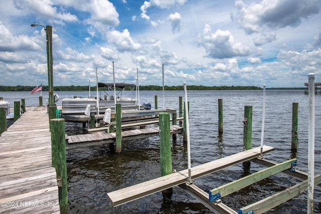 dock area with a water view