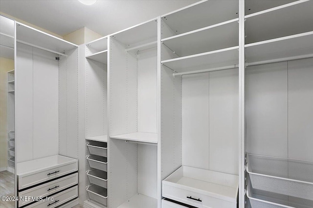 view of spacious closet