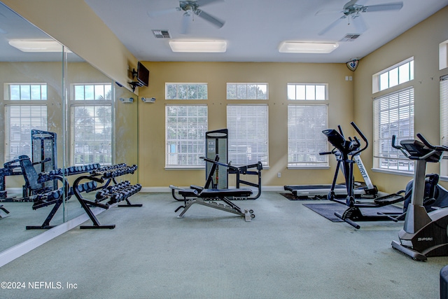 gym featuring ceiling fan and carpet floors