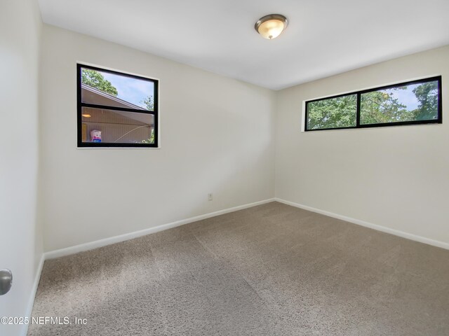 7320 Old Kings Rd S, Jacksonville, FL 32217 - photo 15