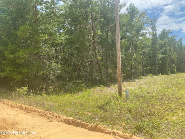 6 Louise Ave, Interlachen, FL 32148 - photo 1
