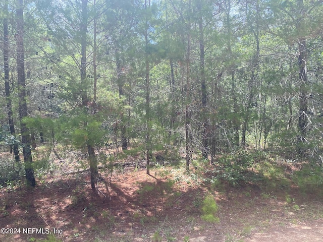 6 Louise Ave, Interlachen, FL 32148 - photo 2