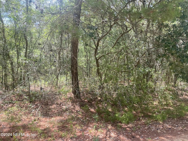 6 Louise Ave, Interlachen, FL 32148 - photo 3