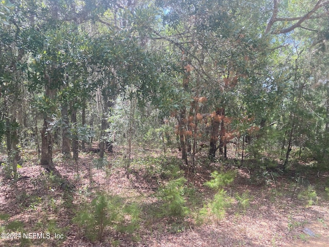 6 Louise Ave, Interlachen, FL 32148 - photo 4