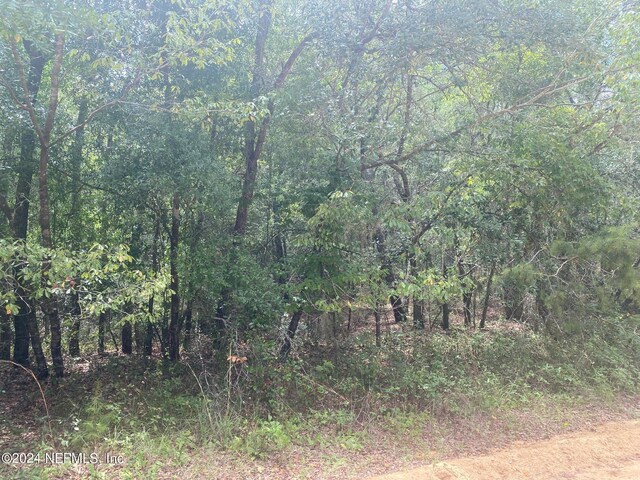 6 Louise Ave, Interlachen, FL 32148 - photo 5