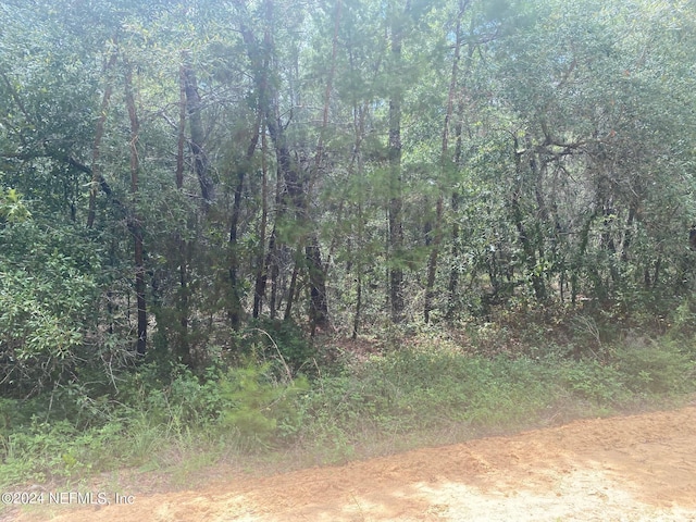 6 Louise Ave, Interlachen, FL 32148 - photo 7