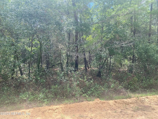 6 Louise Ave, Interlachen, FL 32148 - photo 8