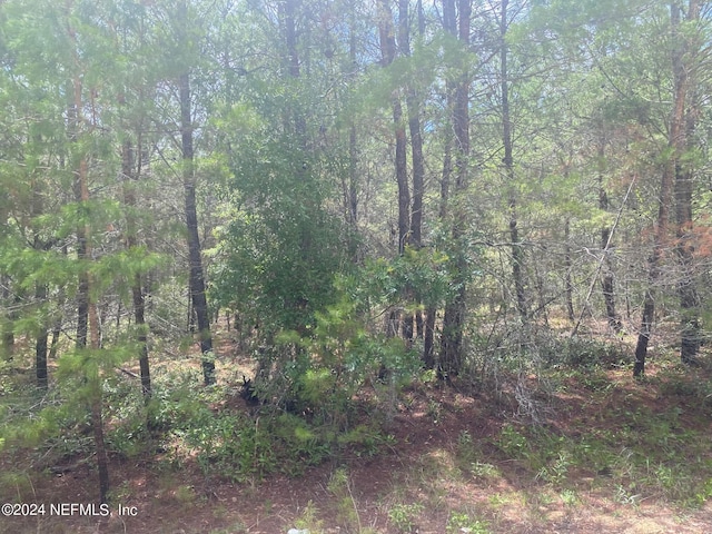 6 Louise Ave, Interlachen, FL 32148 - photo 9