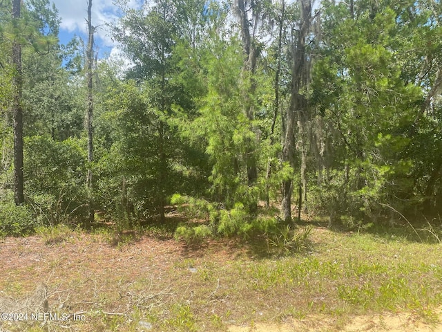 7 Shappell Ave, Interlachen, FL 32148 - photo 3