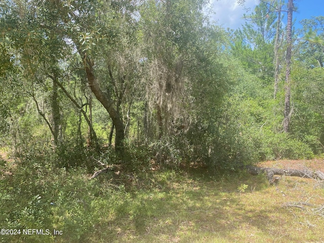 7 Shappell Ave, Interlachen, FL 32148 - photo 4