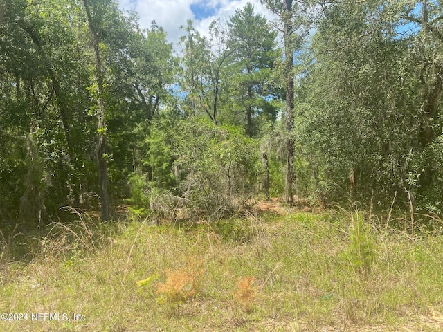 7 Shappell Ave, Interlachen, FL 32148 - photo 5