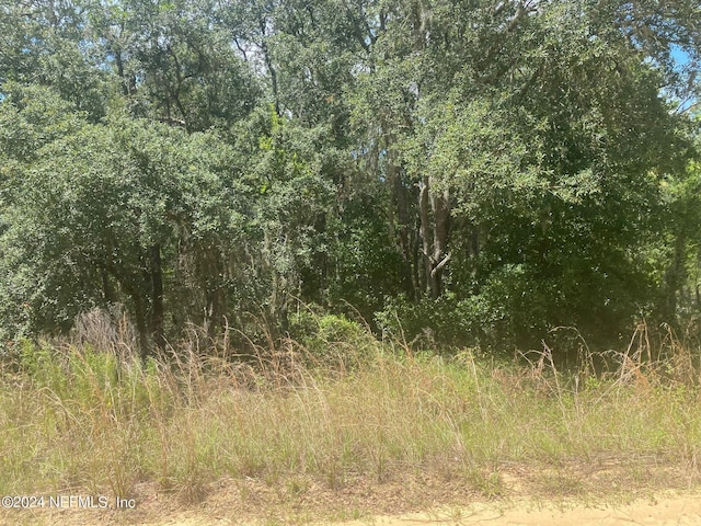 7 Shappell Ave, Interlachen, FL 32148 - photo 6