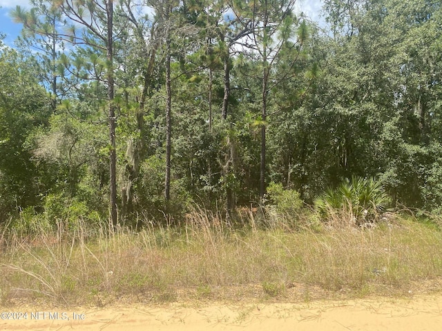 7 Shappell Ave, Interlachen, FL 32148 - photo 7