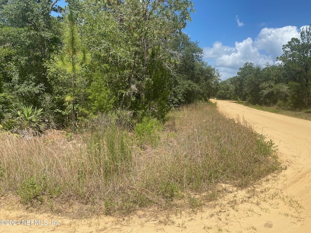 7 Shappell Ave, Interlachen, FL 32148 - photo 2