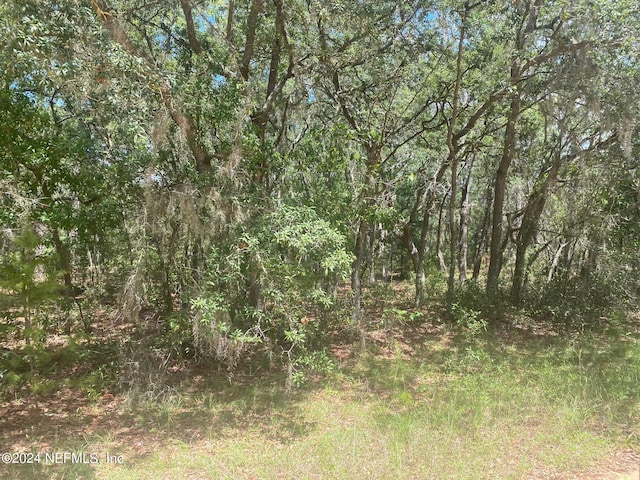 7 Shappell Ave, Interlachen, FL 32148 - photo 9