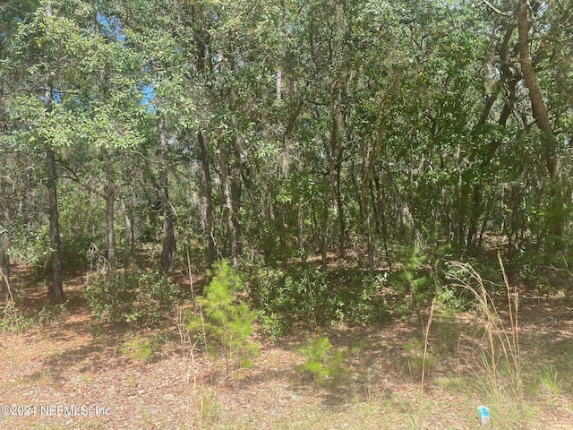 7 Shappell Ave, Interlachen, FL 32148 - photo 10